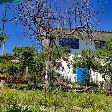 The Willow B&B Urubamba Exterior photo