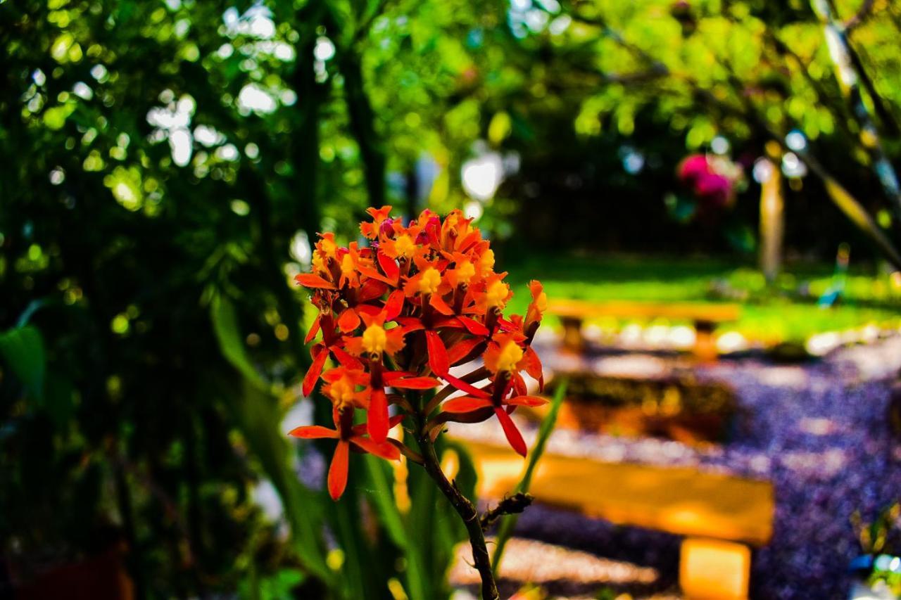 The Willow B&B Urubamba Exterior photo