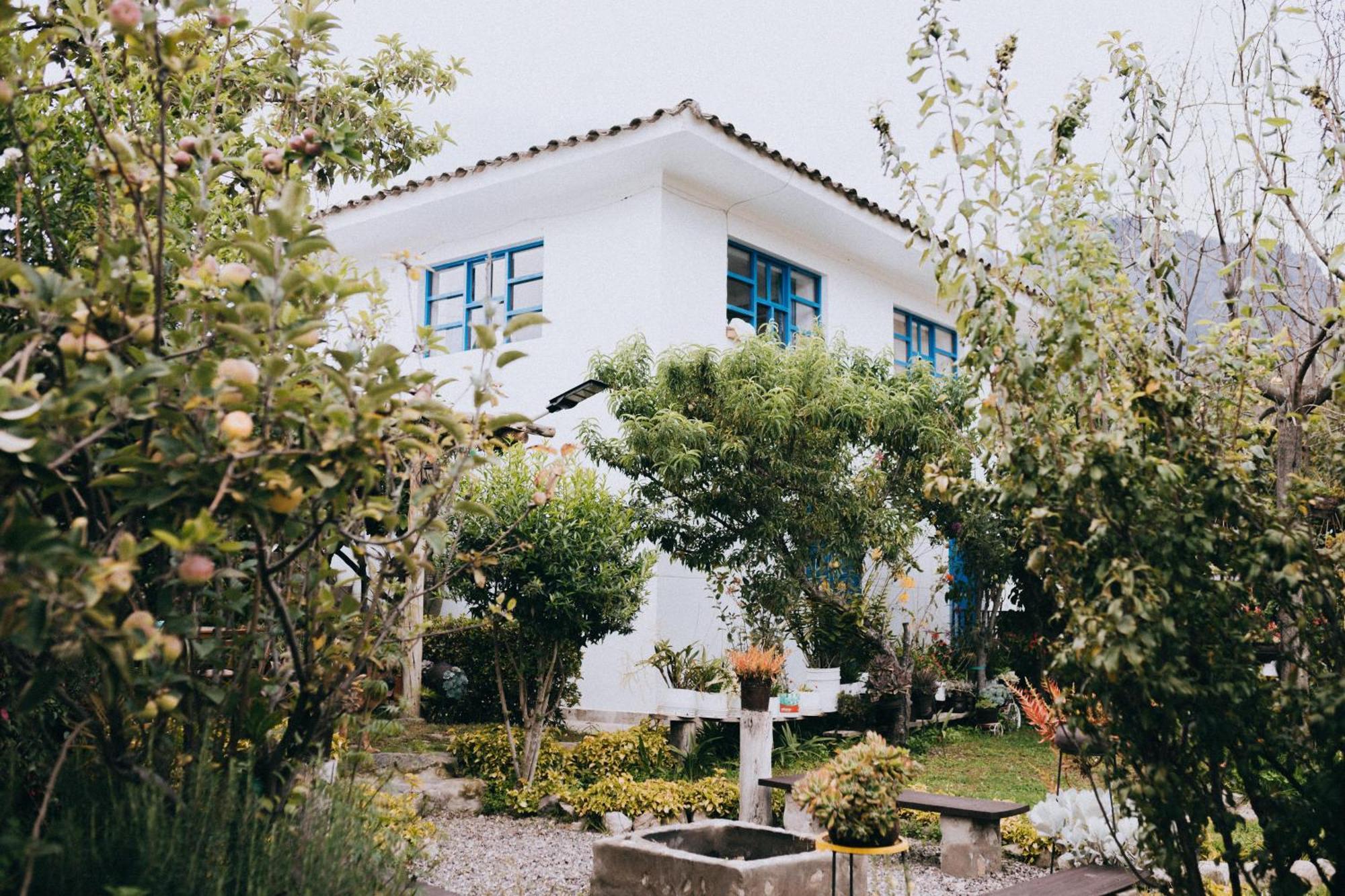 The Willow B&B Urubamba Exterior photo